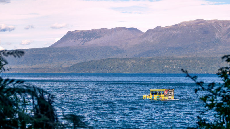 Jump on our genuine WWII amphibious Duck and discover the beautiful scenery of the Rotorua Lakes district on this fully guided tour!